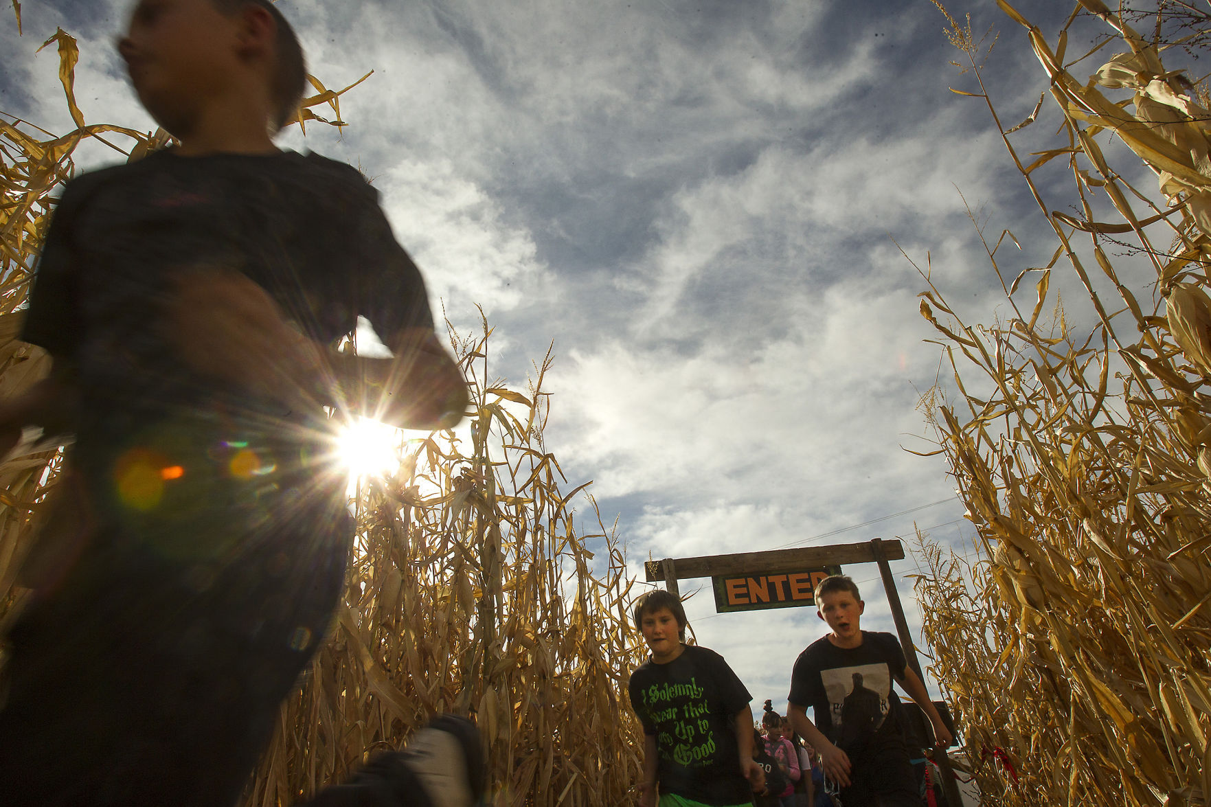 Magic Valley Corn Maze